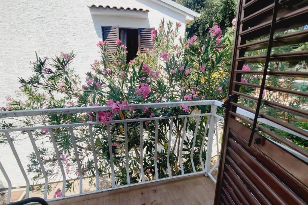 Casa Blanca, Biograd Na Moru Διαμέρισμα Εξωτερικό φωτογραφία